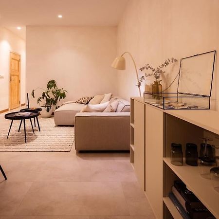 Appartement Met Tuin In Haarlem Centrum Kültér fotó