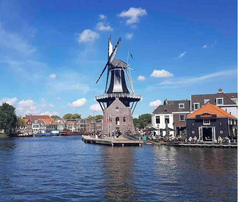 Appartement Met Tuin In Haarlem Centrum Kültér fotó