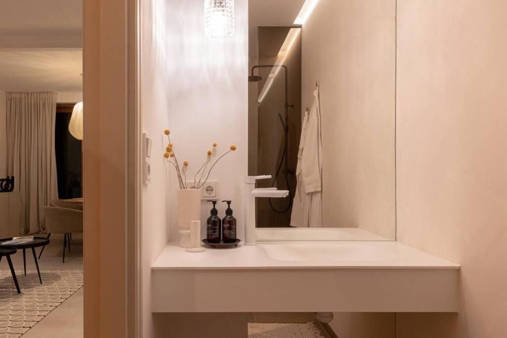 Appartement Met Tuin In Haarlem Centrum Kültér fotó