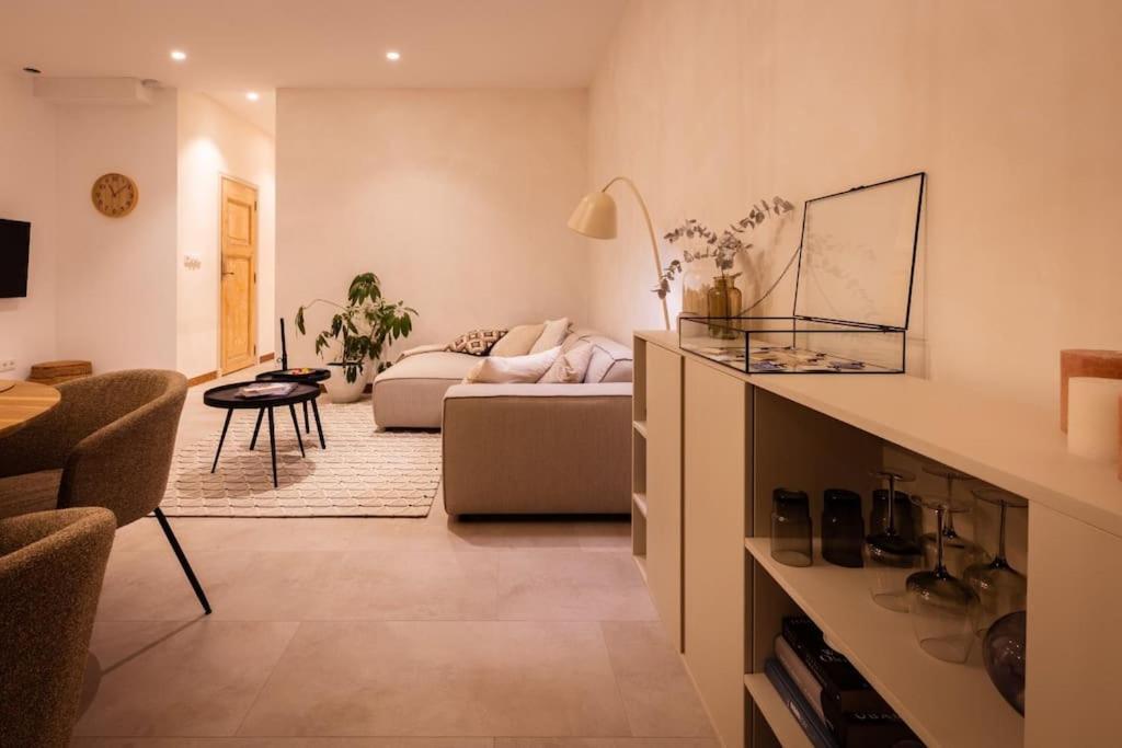 Appartement Met Tuin In Haarlem Centrum Kültér fotó